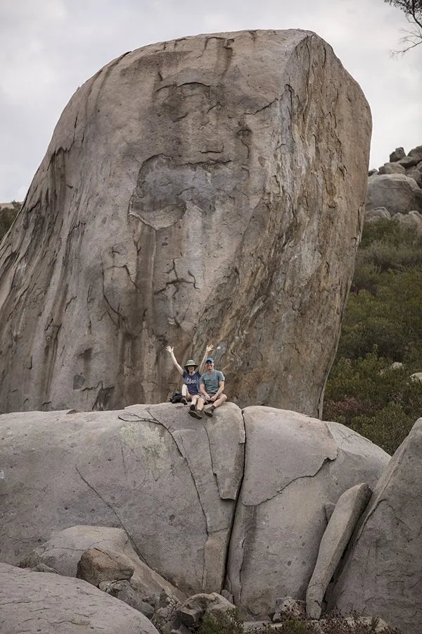 Sunday Afternoons Sustainability